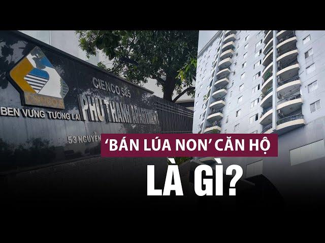 Nhìn về vụ hàng trăm hộ dân chung cư nguy cơ mất nhà: "Bán lúa non" căn hộ là gì?