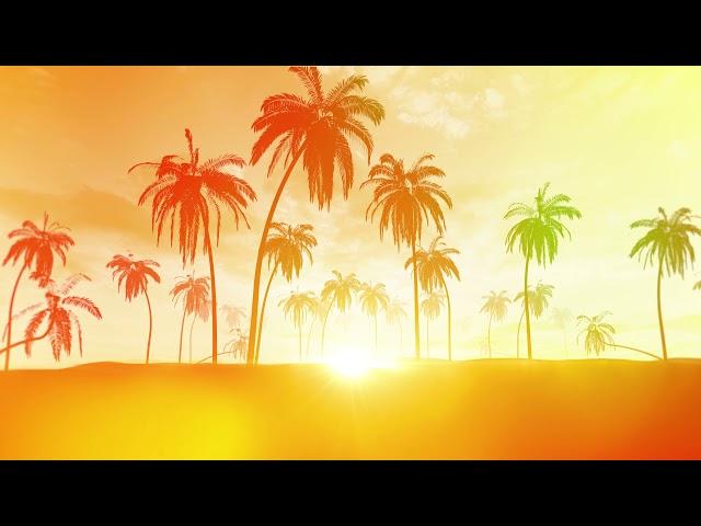 Background Video Summer Palm Trees Happy