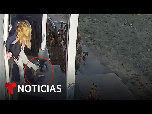 Aterrador video de una niña de 5 años atacada por un mapache | Noticias Telemundo