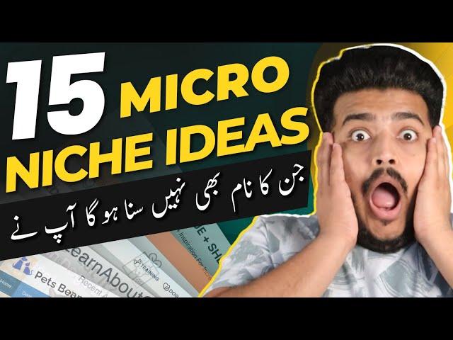 15 Micro Niche Ideas ( Easy to Rank in Google )