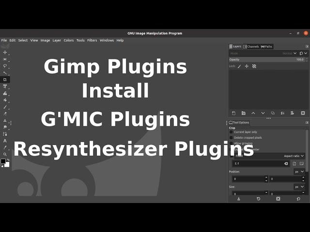 Gimp Plugins Install windows and linux