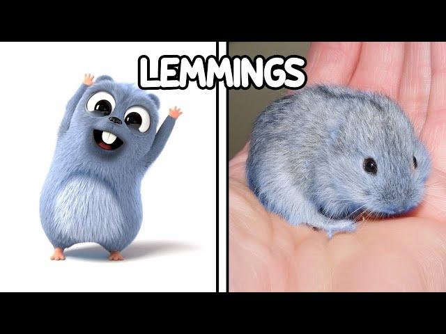 Grizzy And The Lemmings Characters In Real Life! 