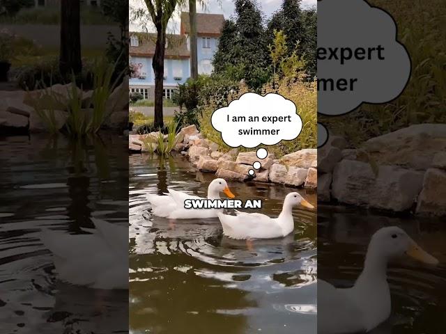 Nobody is an Expert  