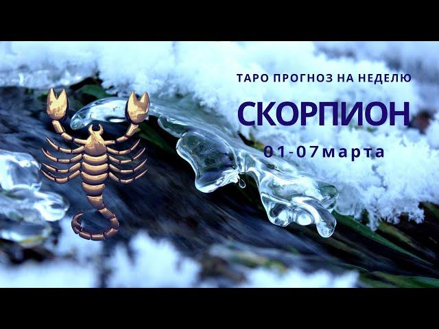 Таро прогноз на неделю СКОРПИОН с 1 по 7 марта 2021г