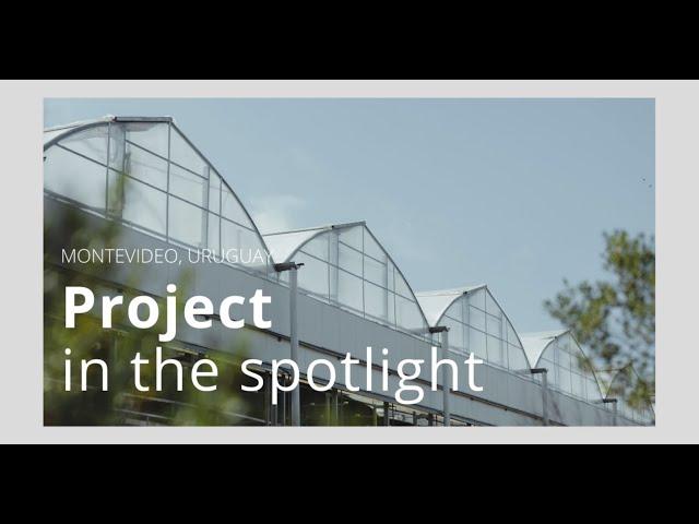 Project in the spotlight : a modern greenhouse for growing cannabis