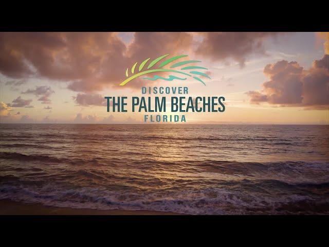 Discover The Palm Beaches