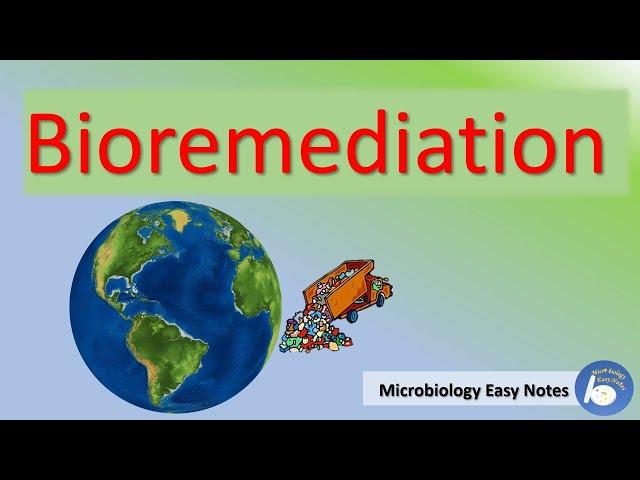 Bioremediation principle, methods, techniques advantages and disadvantages