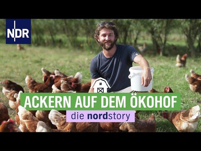 Saustall statt Sonnenliege - Urlaub mal anders | die nordstory | NDR