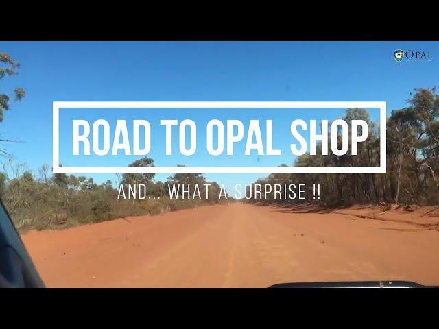 Surprise in our trip to OPAL SHOP | Opal Auctions