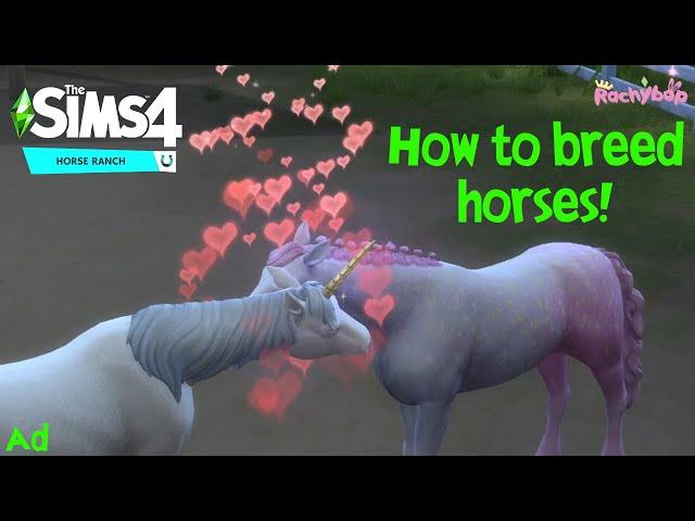 [Ad] How to BREED HORSES in The Sims 4 Horse Ranch expansion pack