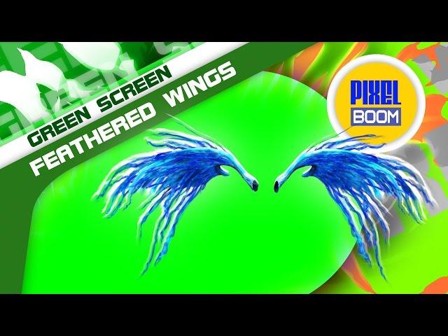 Green Screen Flapping Gold Feathered Wings - Footage PixelBoom