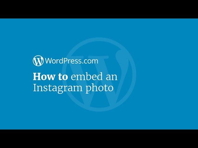 WordPress Tutorial: How to Embed an Instagram Photo in Your Website