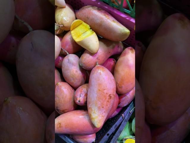 Pink mango #shorts #fruit #mango #viral #capcut #capcuttrend #trending #viral #satisfying #asmr