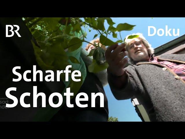 Chilis & Paprika in Herbst & Winter mit Paul Enghofer | Zwischen Spessart & Karwendel | Doku | BR