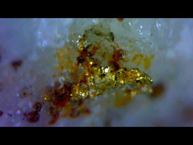 High in the mountains, finding visible GOLD on Quartz!