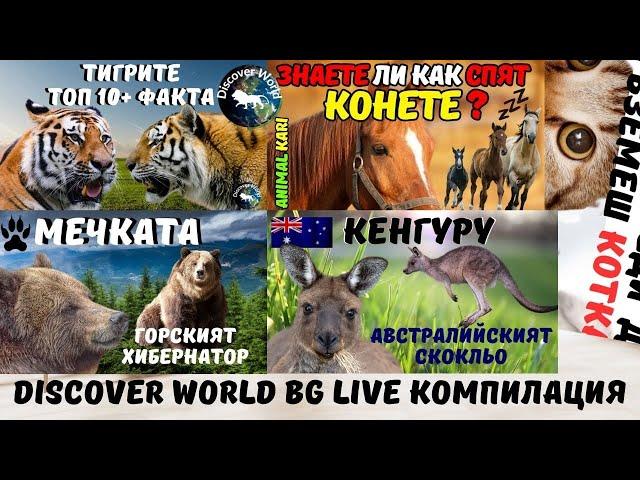 Компилация за животните Discover World BG/Pernati BG