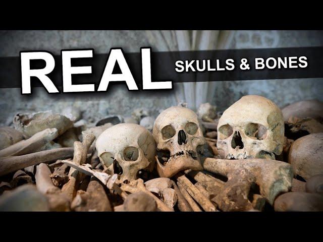 REAL Human Skulls and Bones in the Basement of a Church   4K