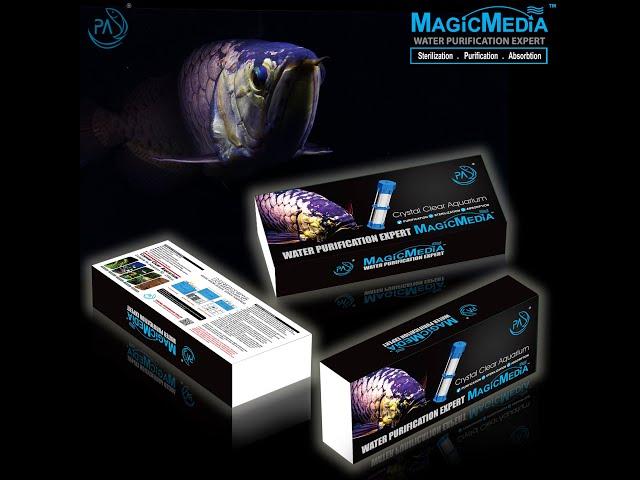 PA MagicMedia