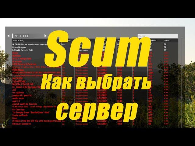 Сервера Scum. Как выбрать