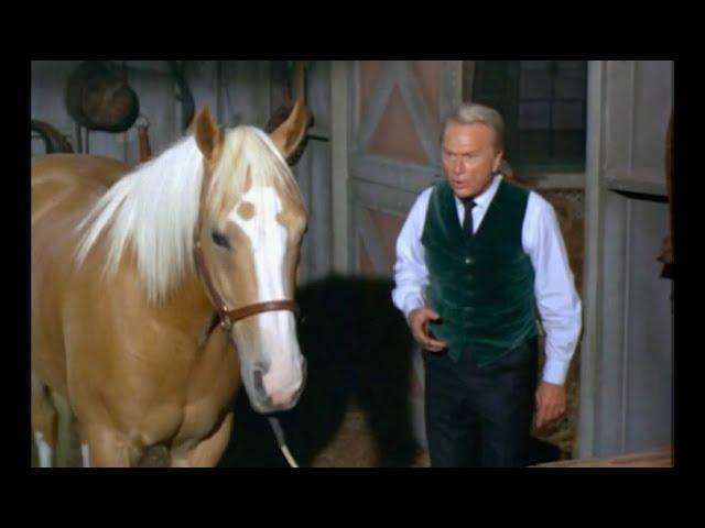 Mr. Haney Sells "Mr. Fred" the Talking Horse to the Douglases - Green Acres - 1969