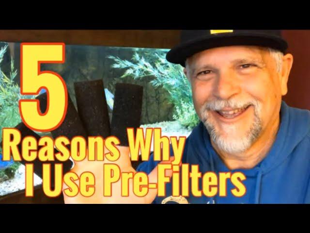 5 "Pre" Filter Tips for Your Aquarium!  Why I Use and Recommend Them!