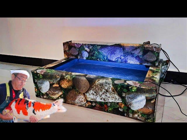 Japanese Koi pond Setup | Indoor Japanese koi pond Built | True Pets Aqua |