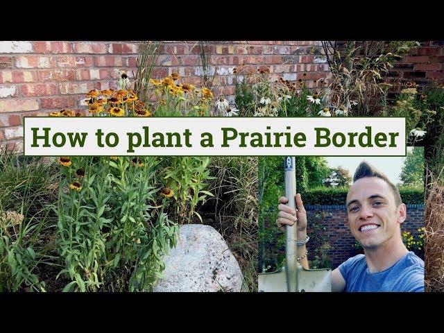 How to Design a Prairie Border for a Small Garden