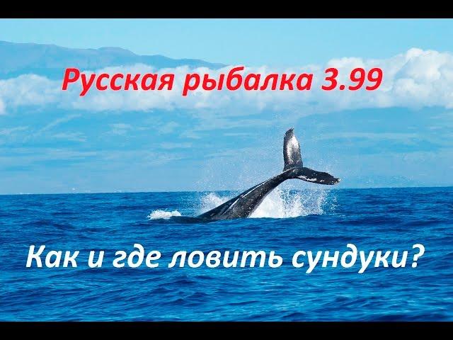 Русская рыбалка 3 99 Как ловить сундуки? Теория и практика