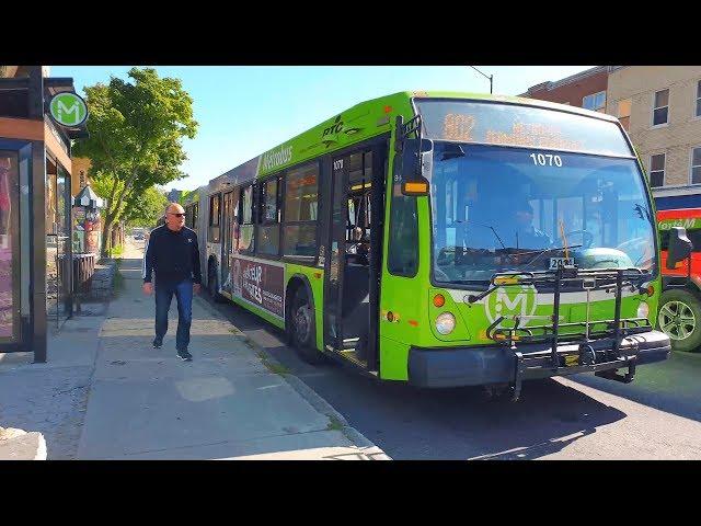 Quebec Bus