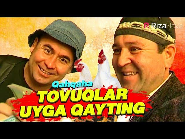 Qahqaha - Tovuqlar uyga qayting (hajviy ko'rsatuv)