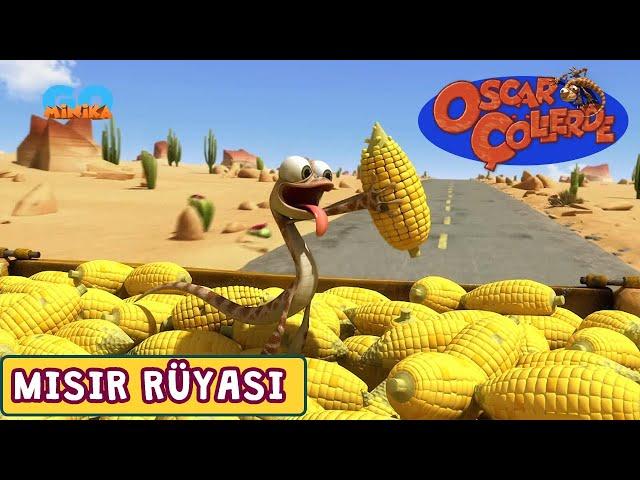 Oscar Çöllerde  | Mısır Rüyası | Minika