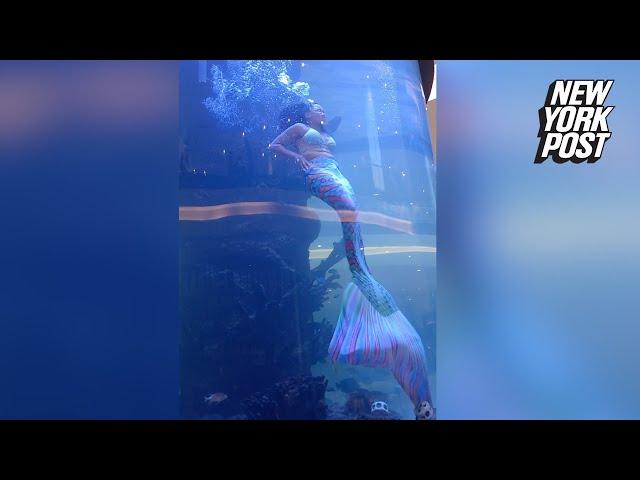 WATCH: Scary moment mermaid's tail gets caught on reef