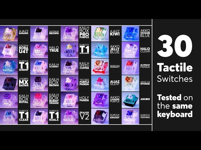 30 TACTILE SWITCHES Sound Test Compilation | Hear the Difference on a Full Keyboard!