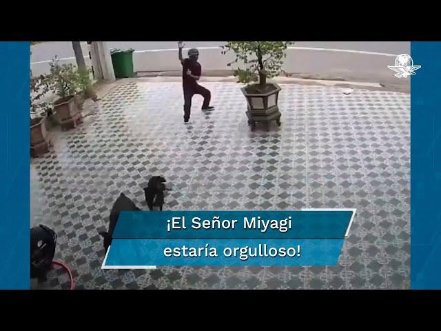 Con movimientos al estilo Karate Kid, hombre se enfrenta a un par de perros