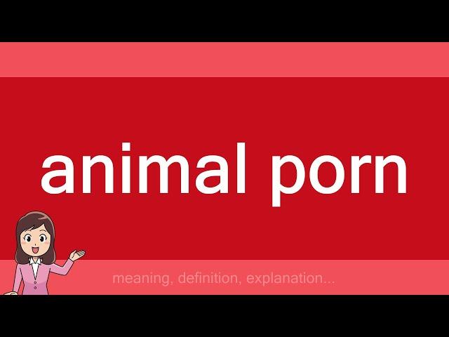 animal porn