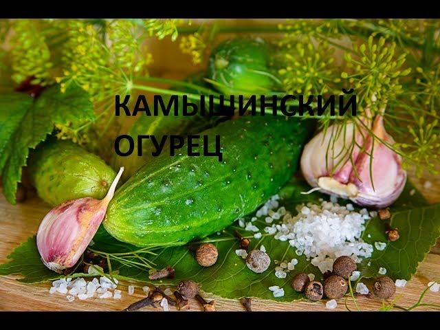 Огурцы Маринованные По- Камышински С Горчицей. Вкусно И просто . Заготовки На Зиму