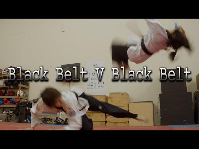 Black Belt V Black Belt - Martial Arts Fight