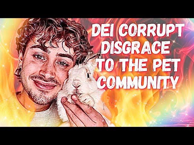 What REALLY Happened to All the Pet YouTubers?