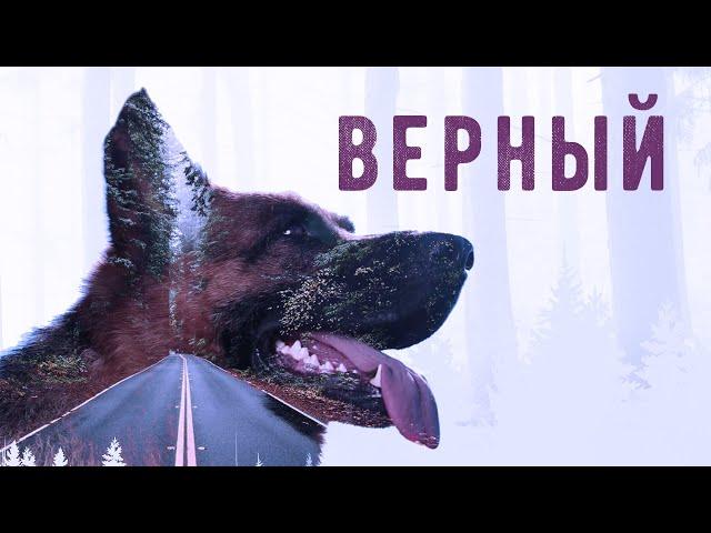 Верный