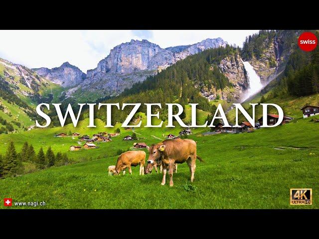  A Hidden Place in Switzerland Where Cows Meet Waterfall | #swiss #swissview
