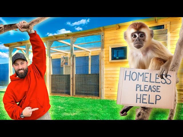 HOW TO BUILD A GARDEN ROOM FOR HOMELESS MONKEYS