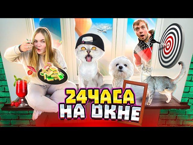 24 ЧАСА НА ПОДОКОННИКЕ С КОТАМИ И СОБАКОЙ! СЛЕЗАТЬ ЗАПРЕЩЕНО!