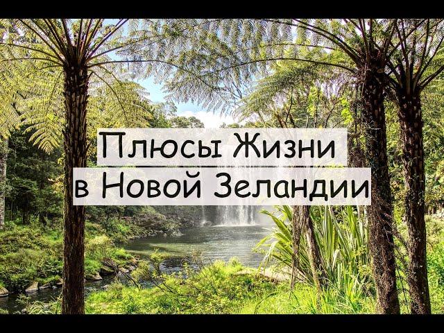 Плюсы Жизни в Новой Зеландии