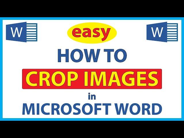 How To Crop An Image In Microsoft Word | 365 |