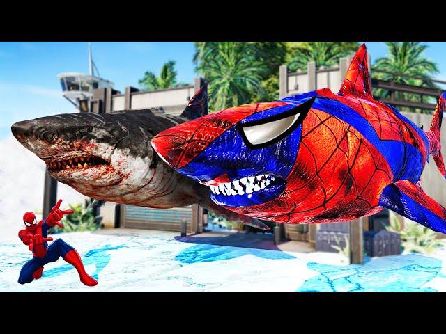  Jurassic World Evolution --- New Spiderman Megalodon Vs Megalodon,T-Rex dinosaurs fight~!