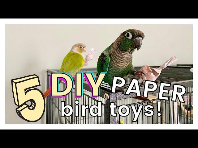 5 EASY DIY BIRD TOYS USING JUST PAPER