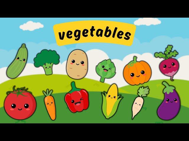 VEGETABLES NAME English for Toddlers Baby First Words for Babies Speech Therapy Learn Vocabulary