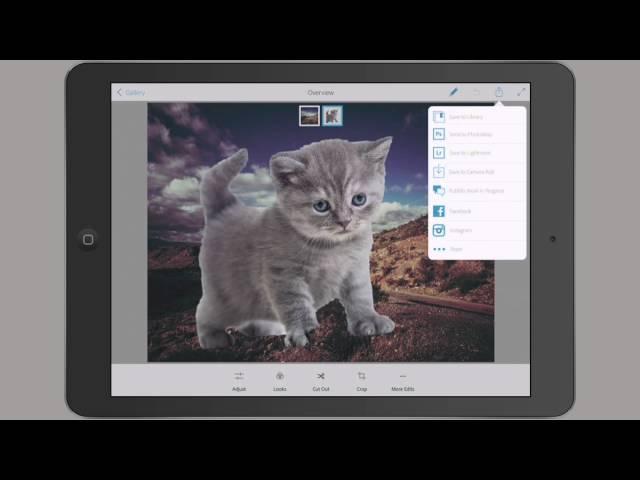 Adobe Mobile Apps: Photoshop Mix