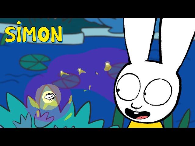 Luciole ou Fée ? ‍️ Une Nuit Magique pour Simon ! | Simon Superlapin | Épisodes Complets 1h S2