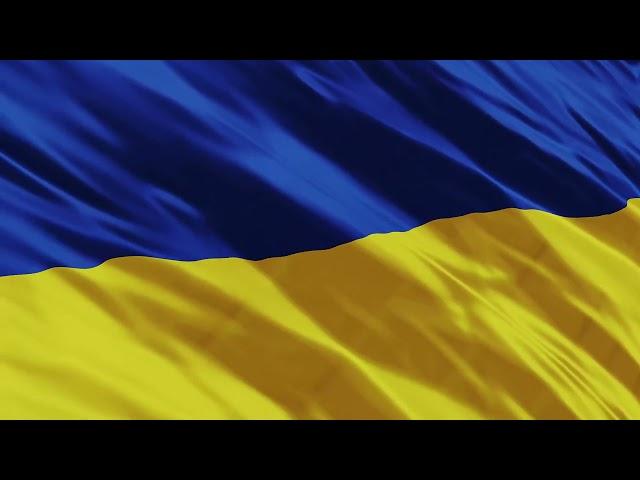 Ukraine flag waving background 4K video free download